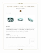 13.43 Ct. Aquamarine from Brazil Appraisal