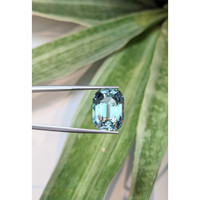 13.43 Ct. Aquamarine from Brazil Life Style