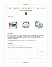 16.86 Ct. Tourmaline from Mozambique Appraisal