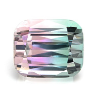 16.86 Ct. Tourmaline from Mozambique Video