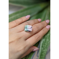 16.86 Ct. Tourmaline from Mozambique Life Style