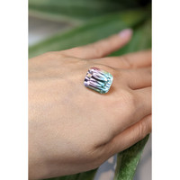 16.86 Ct. Tourmaline from Mozambique Life Style