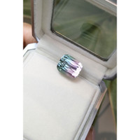 16.86 Ct. Tourmaline from Mozambique Life Style