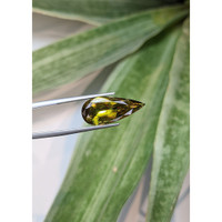10.00 Ct. Sphene (Titanite) from Madagascar Life Style