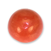0.45 Ct. Cabochon Coral from Italy Video