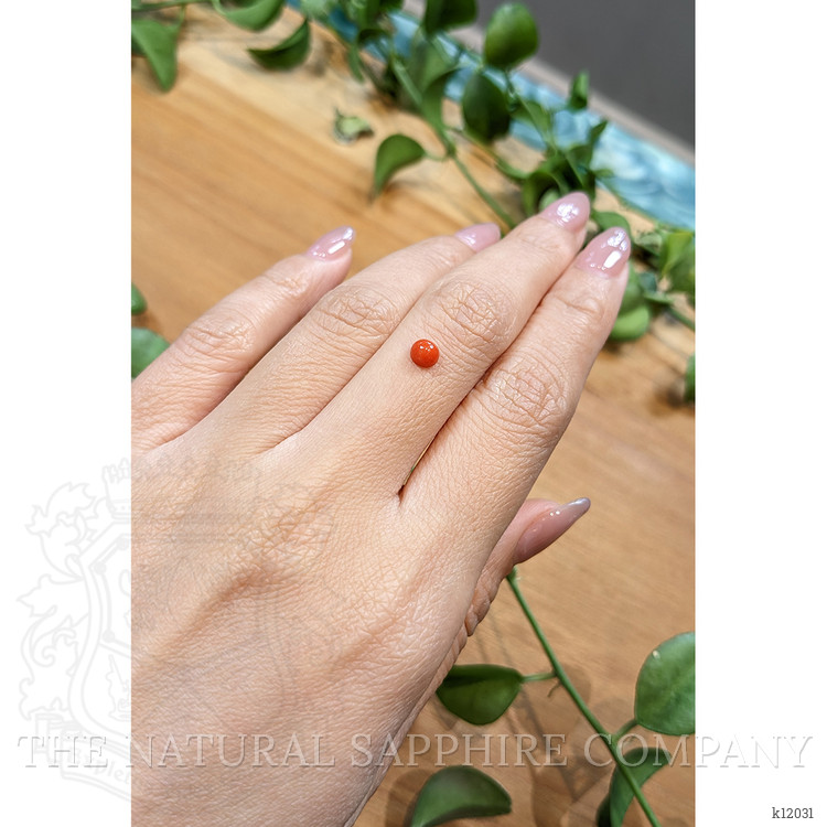 0.45 Ct. Cabochon Coral from Italy