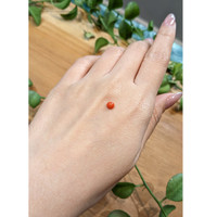0.45 Ct. Cabochon Coral from Italy Life Style