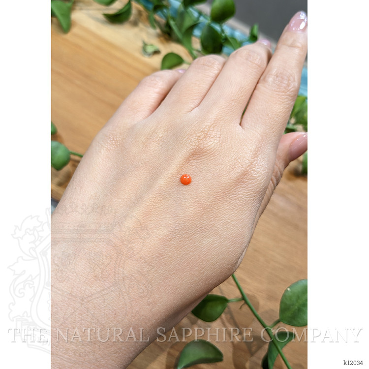 0.19 Ct. Cabochon Coral from Italy