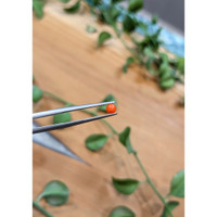 0.19 Ct. Cabochon Coral from Italy Life Style