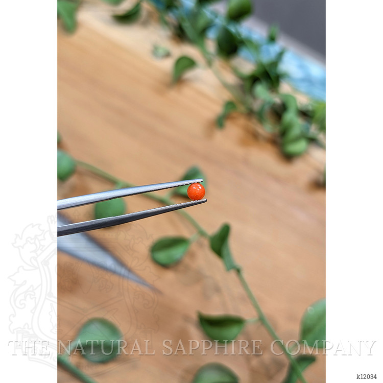 0.19 Ct. Cabochon Coral from Italy