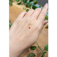 0.16 Ct. Cabochon Coral from Italy Life Style