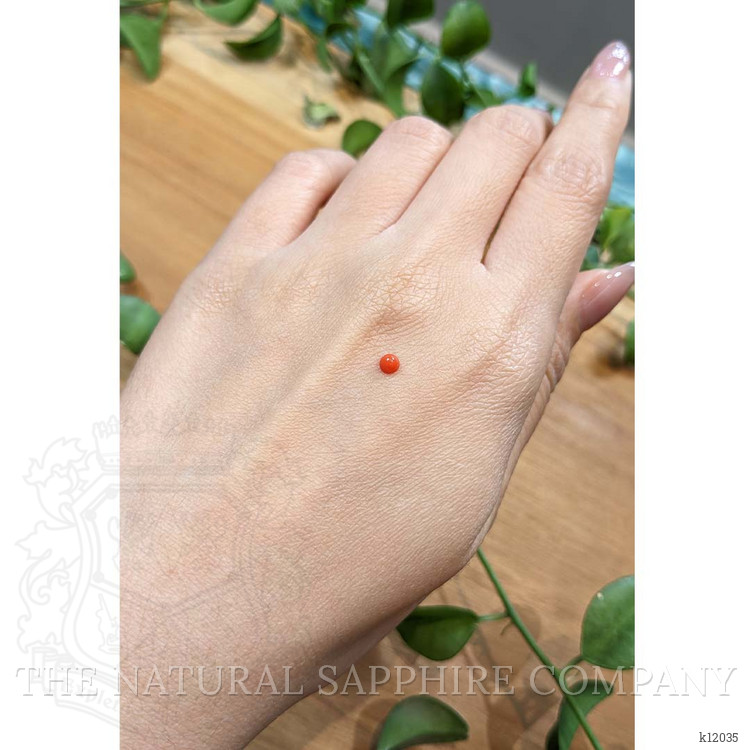 0.16 Ct. Cabochon Coral from Italy