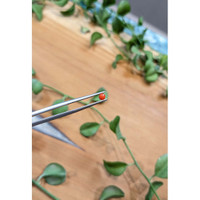 0.16 Ct. Cabochon Coral from Italy Life Style