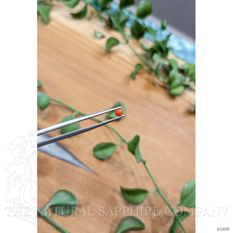 0.16 Ct. Cabochon Coral from Italy