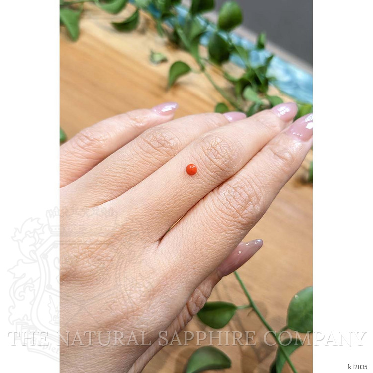 0.16 Ct. Cabochon Coral from Italy