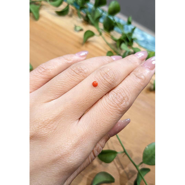 0.16 Ct. Cabochon Coral from Italy