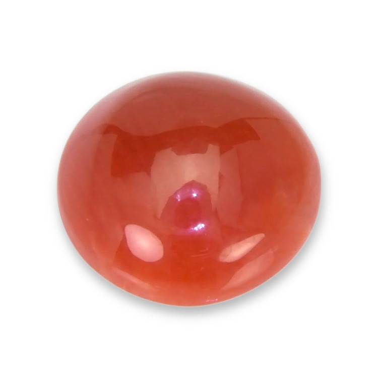 0.67 Ct. Cabochon Coral from Italy