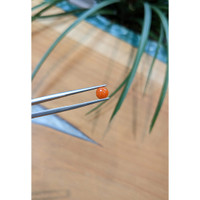 0.67 Ct. Cabochon Coral from Italy Life Style