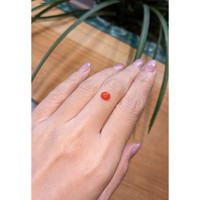 0.67 Ct. Cabochon Coral from Italy Life Style