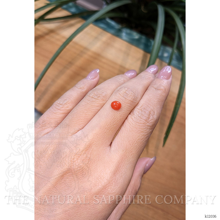 0.67 Ct. Cabochon Coral from Italy