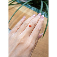 0.62 Ct. Cabochon Coral from Italy Life Style