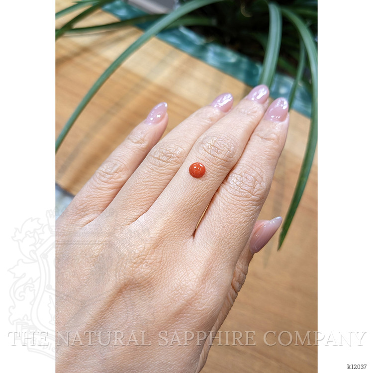 0.62 Ct. Cabochon Coral from Italy
