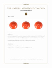 0.51 Ct. Cabochon Coral from Italy Appraisal