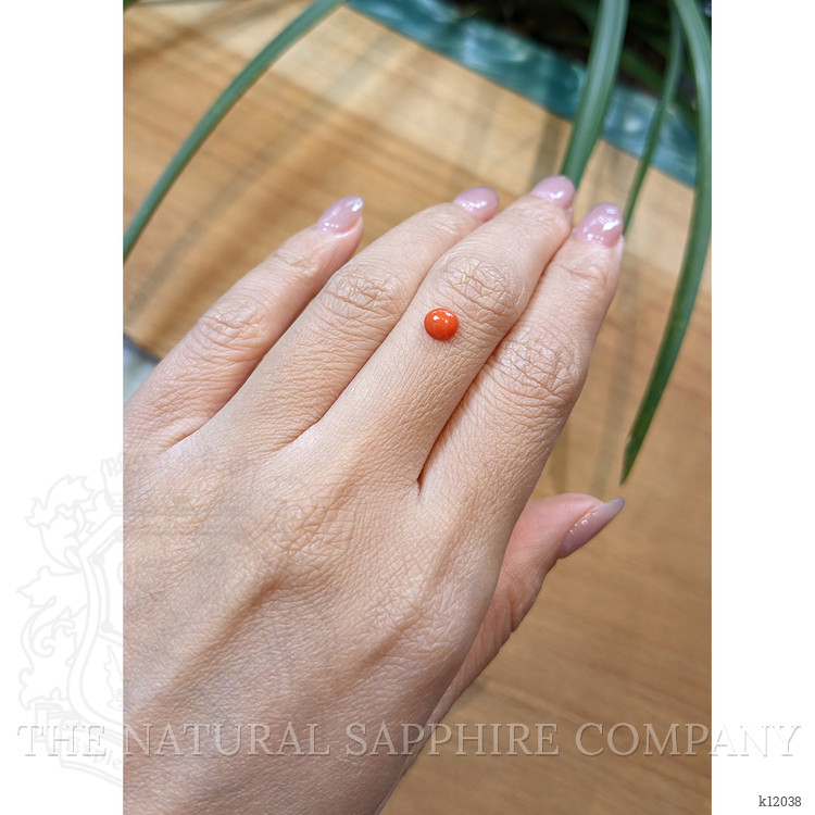 0.51 Ct. Cabochon Coral from Italy