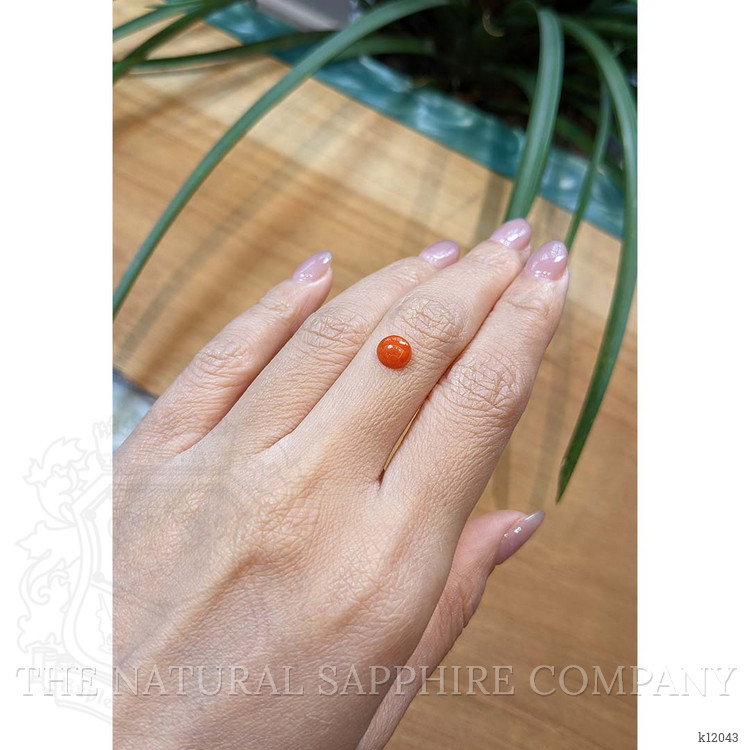 1.00 Ct. Cabochon Coral from Italy