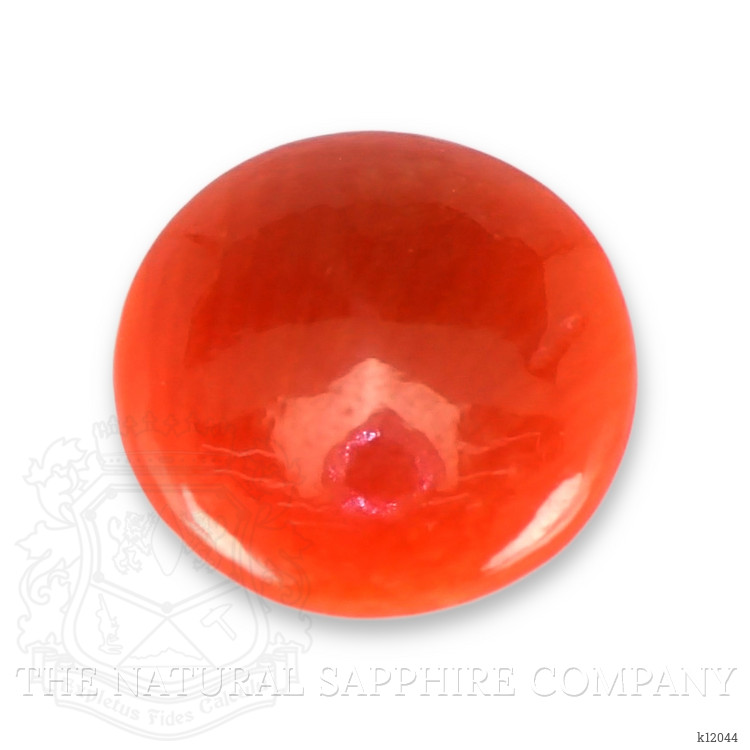0.68 Ct. Cabochon Coral from Italy