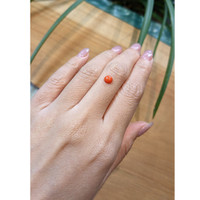 0.68 Ct. Cabochon Coral from Italy Life Style