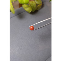 2.17 Ct. Cabochon Coral from Italy Life Style