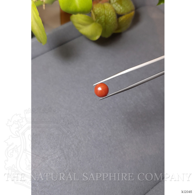 2.17 Ct. Cabochon Coral from Italy