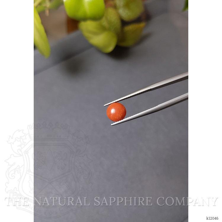 1.38 Ct. Cabochon Coral from Italy