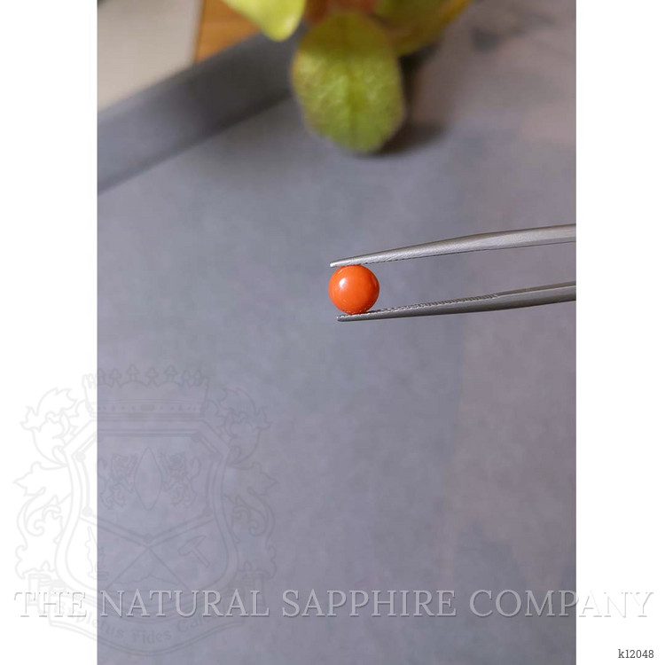 1.70 Ct. Cabochon Coral from Italy