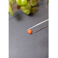 1.53 Ct. Cabochon Coral from Italy Life Style