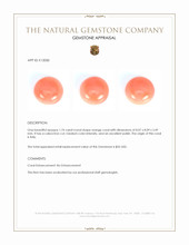 1.74 Ct. Cabochon Coral from Italy Appraisal