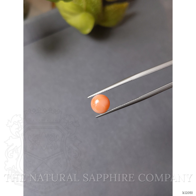 1.74 Ct. Cabochon Coral from Italy