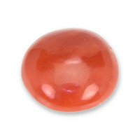 1.13 Ct. Cabochon Coral from Italy Video