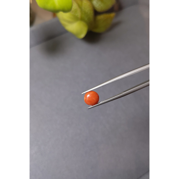 1.13 Ct. Cabochon Coral from Italy