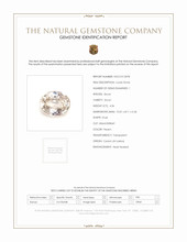 Jewelry Scan Report