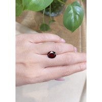 3.82 Ct. Garnet from Madagascar Life Style