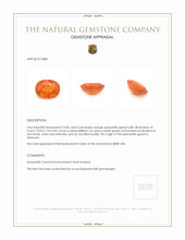 10.06 Ct. Spessartite Garnet Appraisal