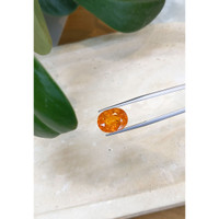 10.06 Ct. Spessartite Garnet from Tanzania Life Style