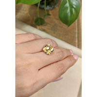 4.39 Ct. Citrine from Brazil Life Style