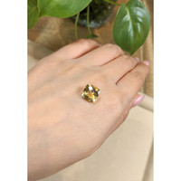 4.39 Ct. Citrine from Brazil Life Style