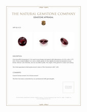 1.34 Ct. Garnet from Ceylon (Sri Lanka) Appraisal