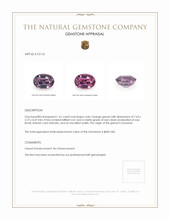 1.61 Ct. Garnet from Tanzania Appraisal