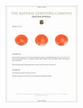 0.51 Ct. Salmon (Orange) Cabochon Coral from Italy Appraisal