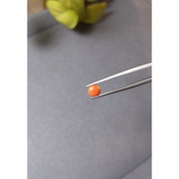 0.51 Ct. Cabochon Coral from Italy Life Style